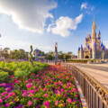 New Additions at Disney this Spring!